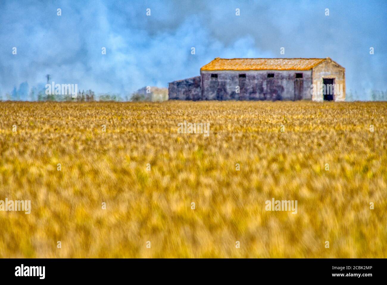 Stubble burning in the rice fields, Isla Mayor, Seville, Spain Stock Photo
