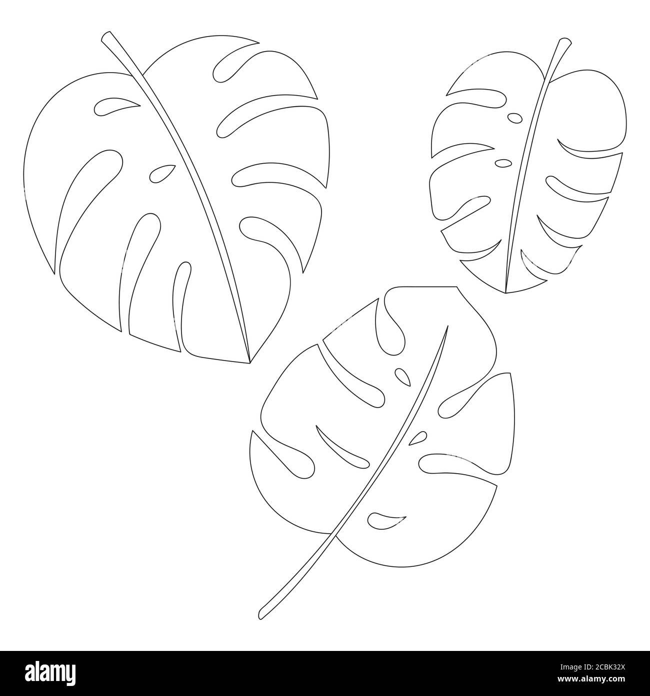 Jungle Leaf Template Jungle Leaf Template