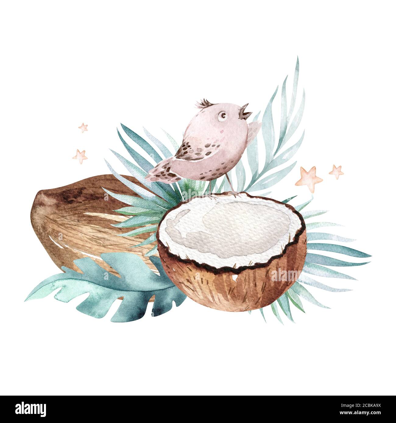Hand drawn watercolor painting birds and Tropical palm leaves with Coconuts isolated on white background. . Nature Fruit illustration. Eco vegan Stock Photo