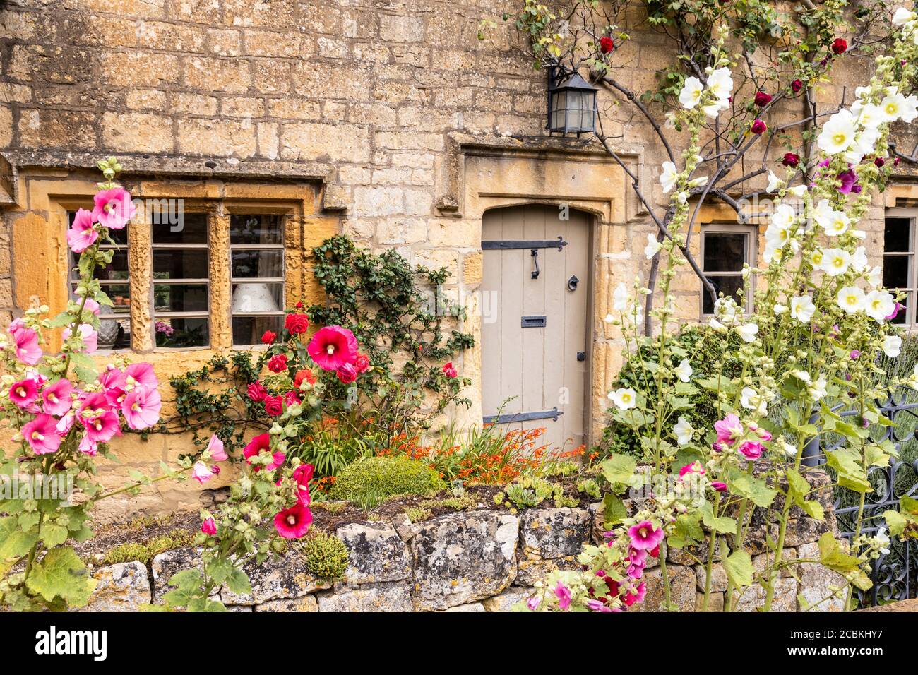 Hollyhocks flowering outside a typical traditional stone cottage in the Cotswold village of Laverton, Gloucestershire UK Stock Photo