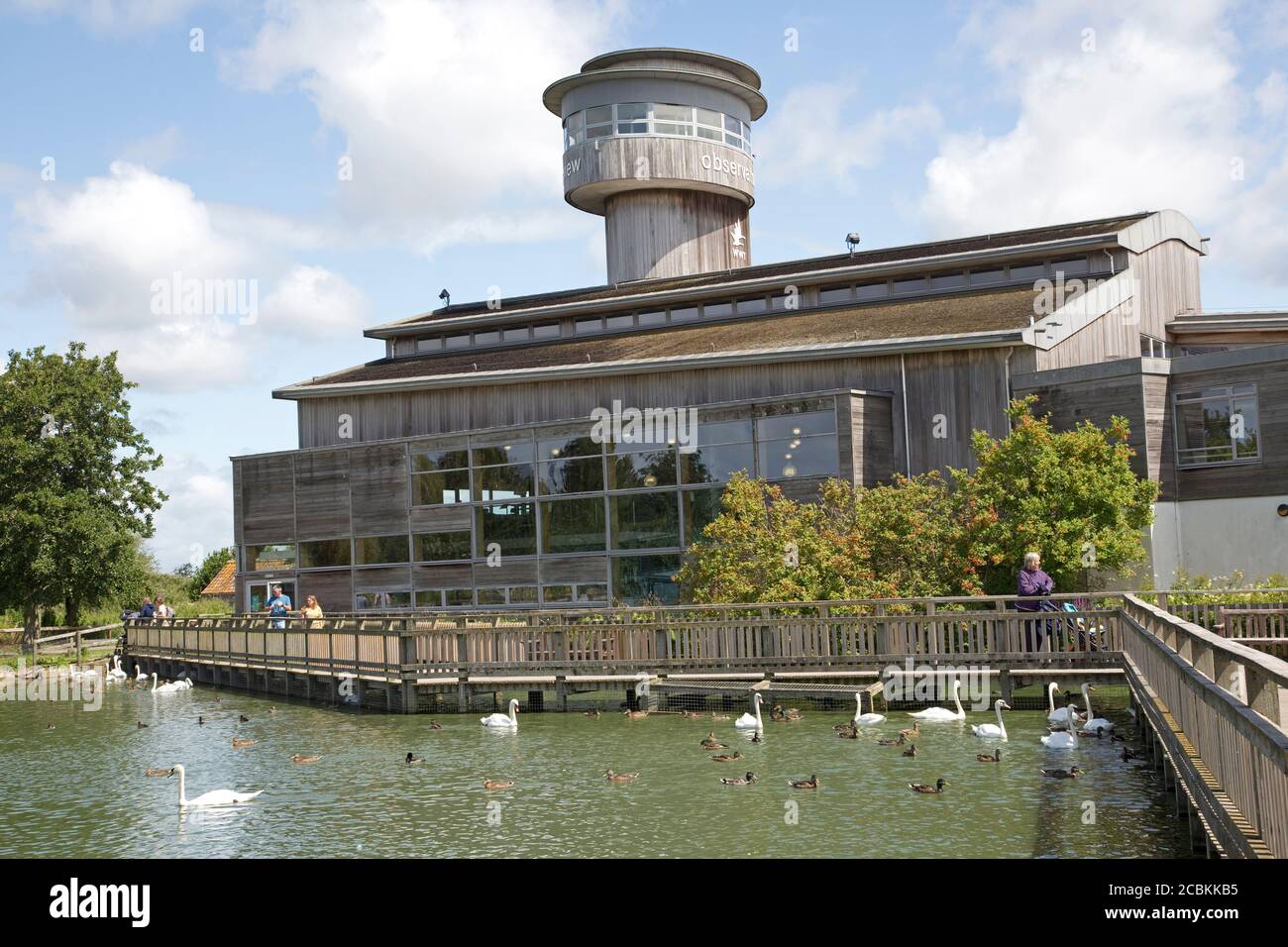 Sloane Observation Tower and main building, with vistor walkways and swans and ducks on water, Slimbridge, UK Stock Photo
