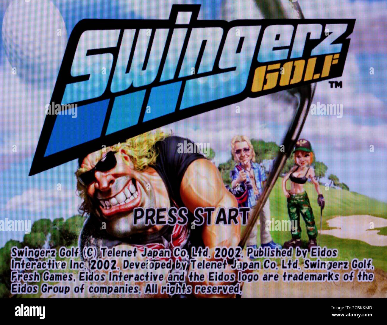 Swingerz Golf Nintendo Gamecube Videogame Editorial use only Stock