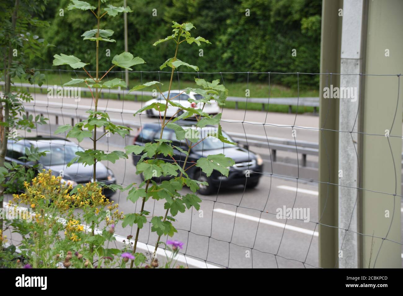 Highway with crash barrier in the middle and behind the iron mesh and field weed near village Urdorf, canton Zurich in Switzerland. Stock Photo