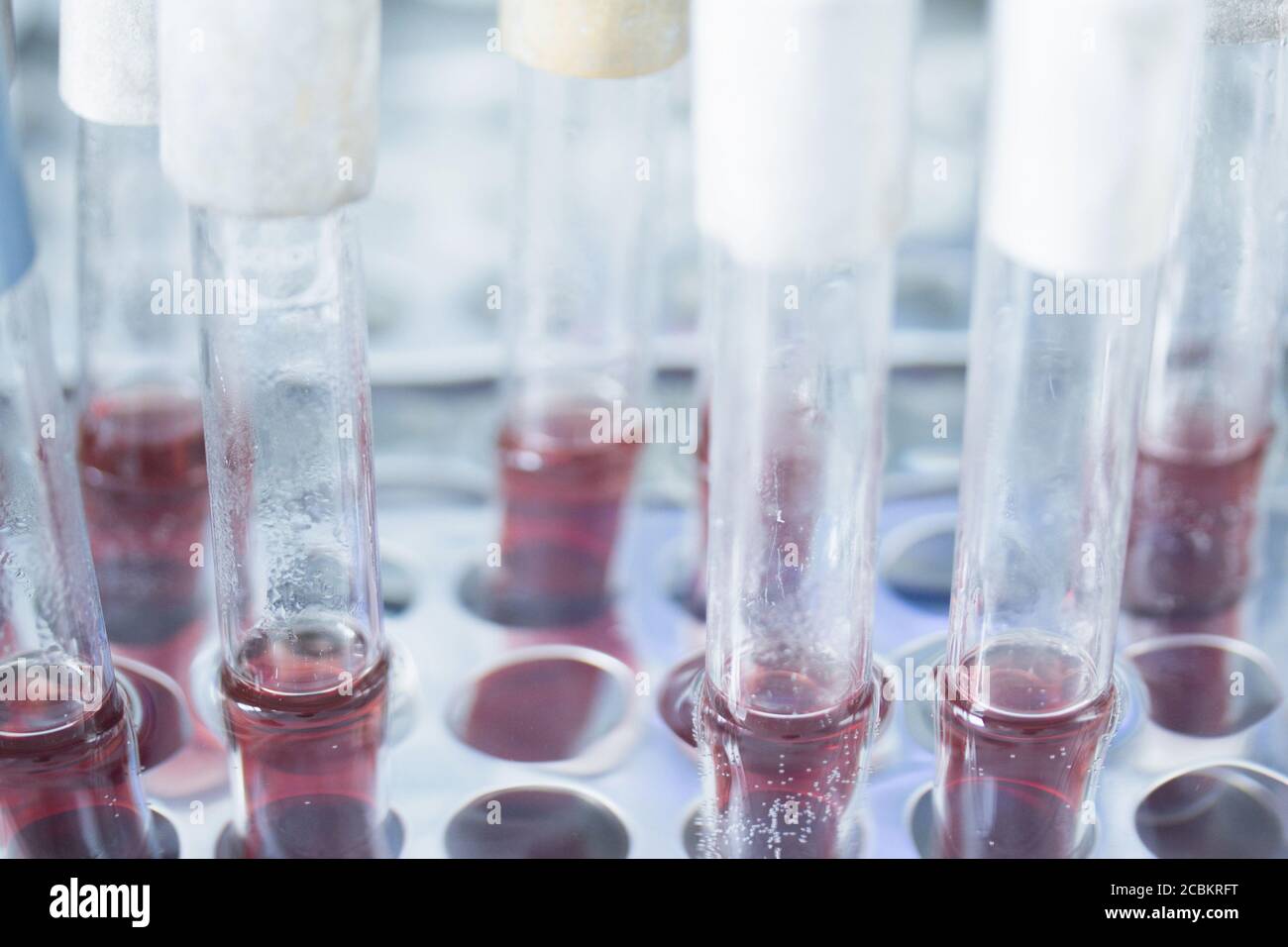 Close up of test tubes in lab Stock Photo