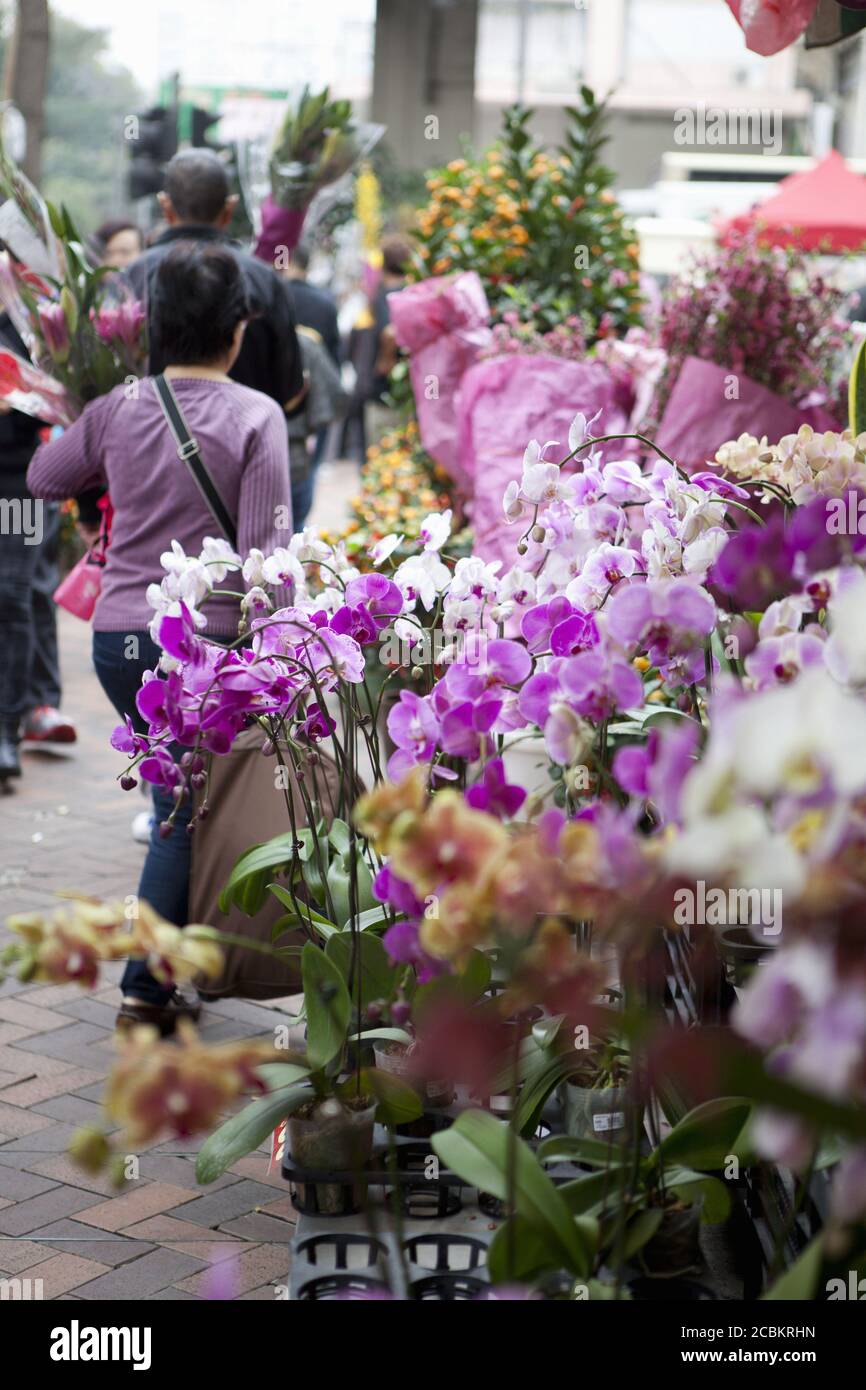 Flower market, Hong Kong, China Stock Photo Alamy