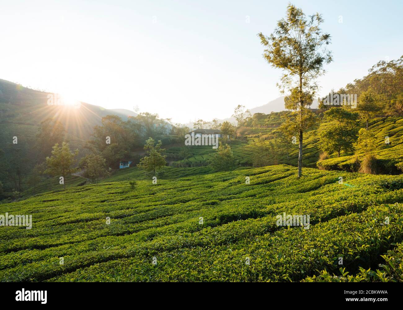 Sunrise over hills and valley, Top Station, Kerala, India Stock Photo
