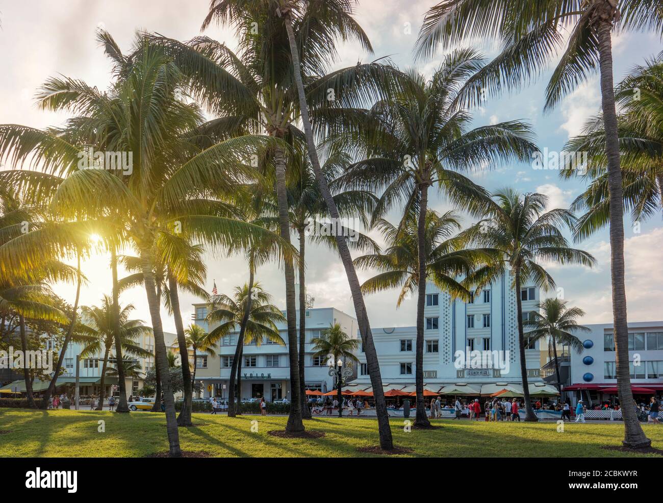 Elegant Parking In Ocean Drive Miami Images