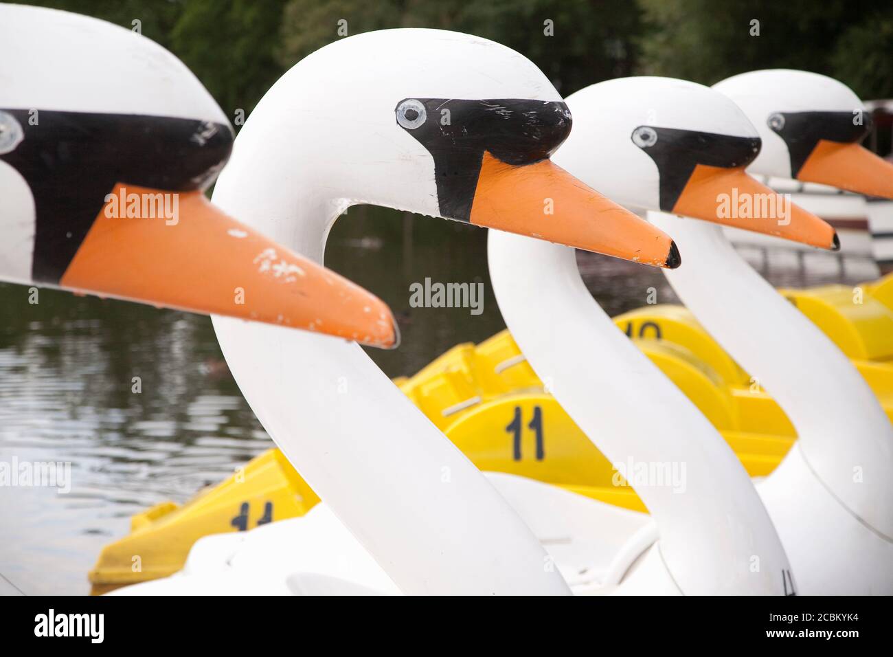 Swan Boats In Odense River Munke Mose Park Odense Denmark Stock Photo Alamy