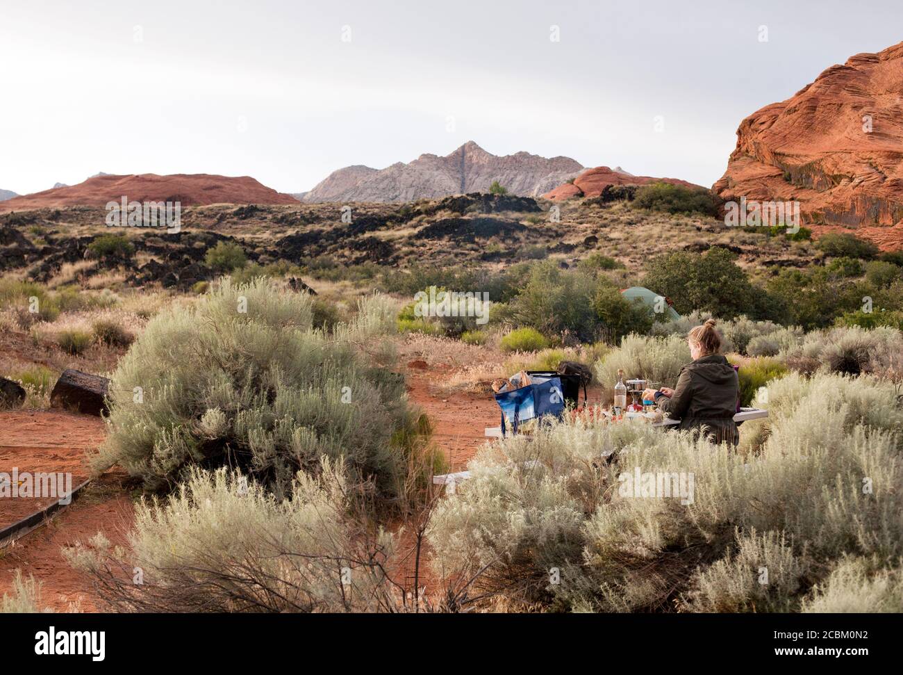 Hiker preparing dinner on picnic bench at campsite in Snow Canyon State Park, Utah, USA Stock Photo