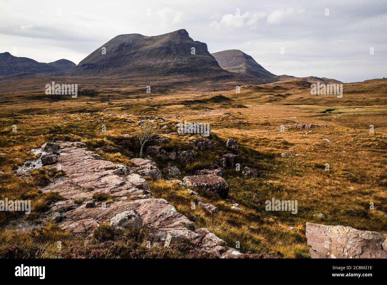 Rocky outcrop in wilderness, Scotland, UK Stock Photo