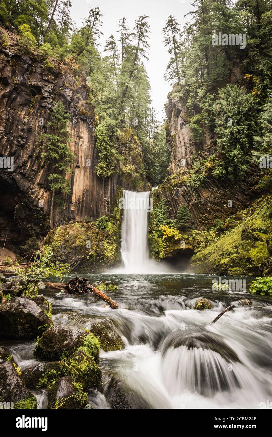 View of Toketee Falls; Umpqua National Forest, Oregon, USA Stock Photo