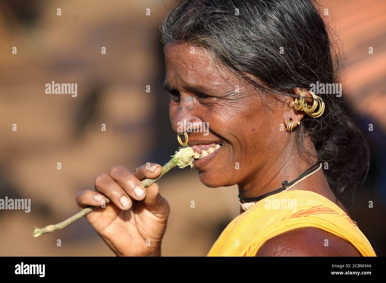 Desia Kondh tribal woman in a rural village near Gunupur in Odisha, India Stock Photo