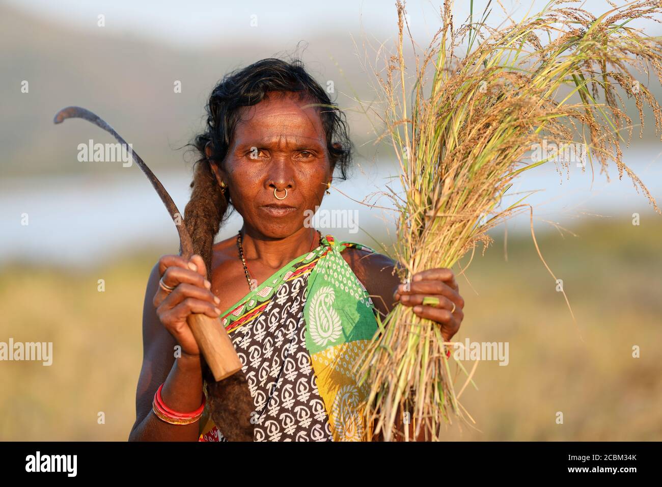Desia Kondh tribal woman in a rural village near Gunupur in Odisha, India Stock Photo