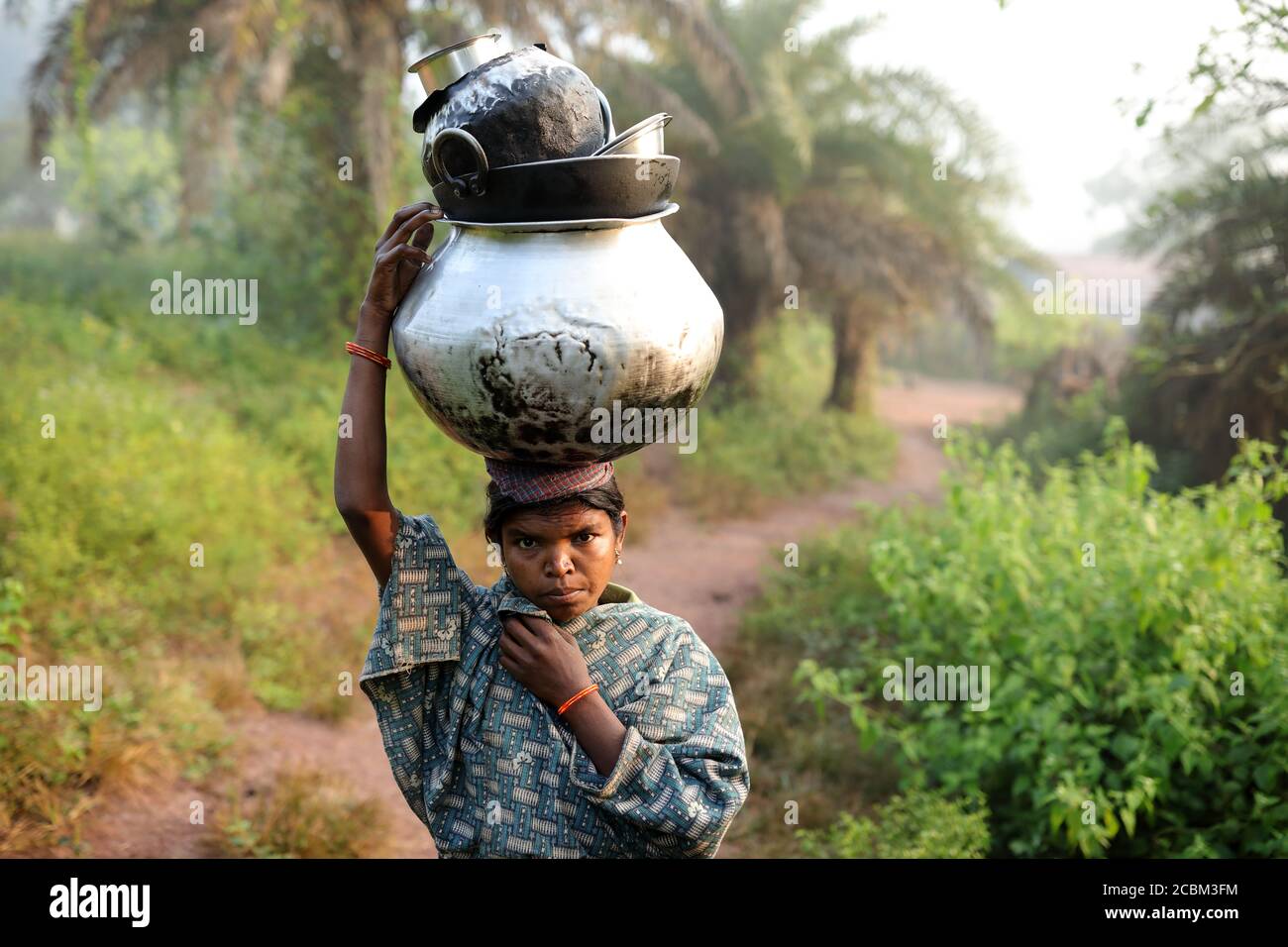 Indian adivasi people hi-res stock photography and images - Alamy