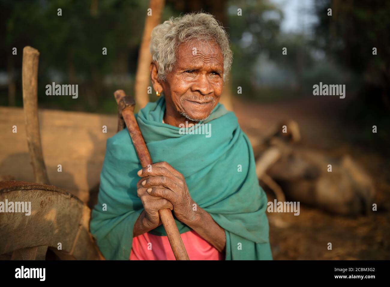 Tribal man in a rural village in Kanger Valley National Park, Chhattisgarh, India Stock Photo