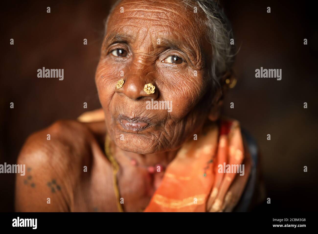 Tribal woman in a rural village in Kanger Valley National Park, Chhattisgarh, India Stock Photo