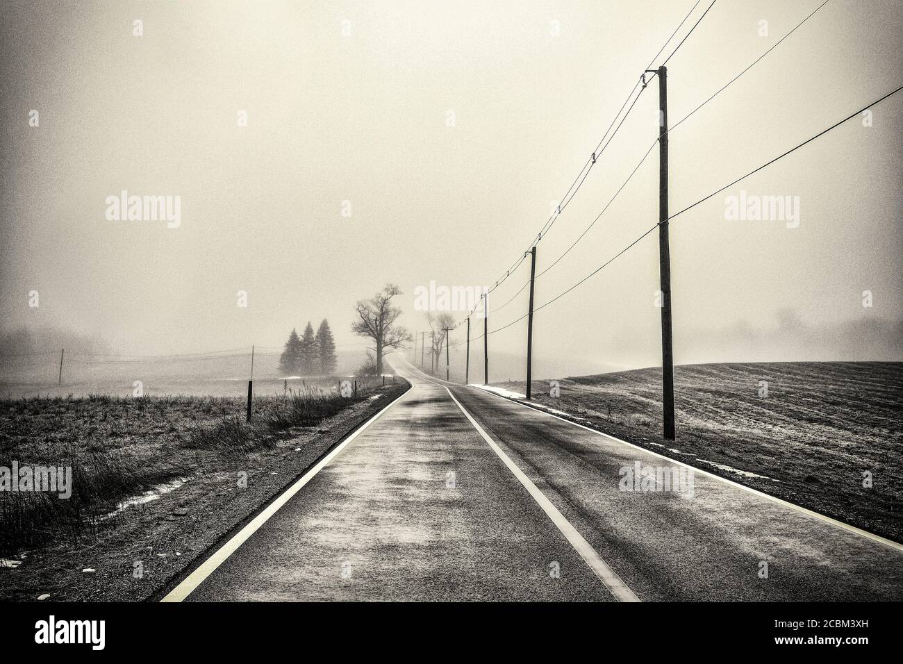 A lonely road on a foggy morning Stock Photo