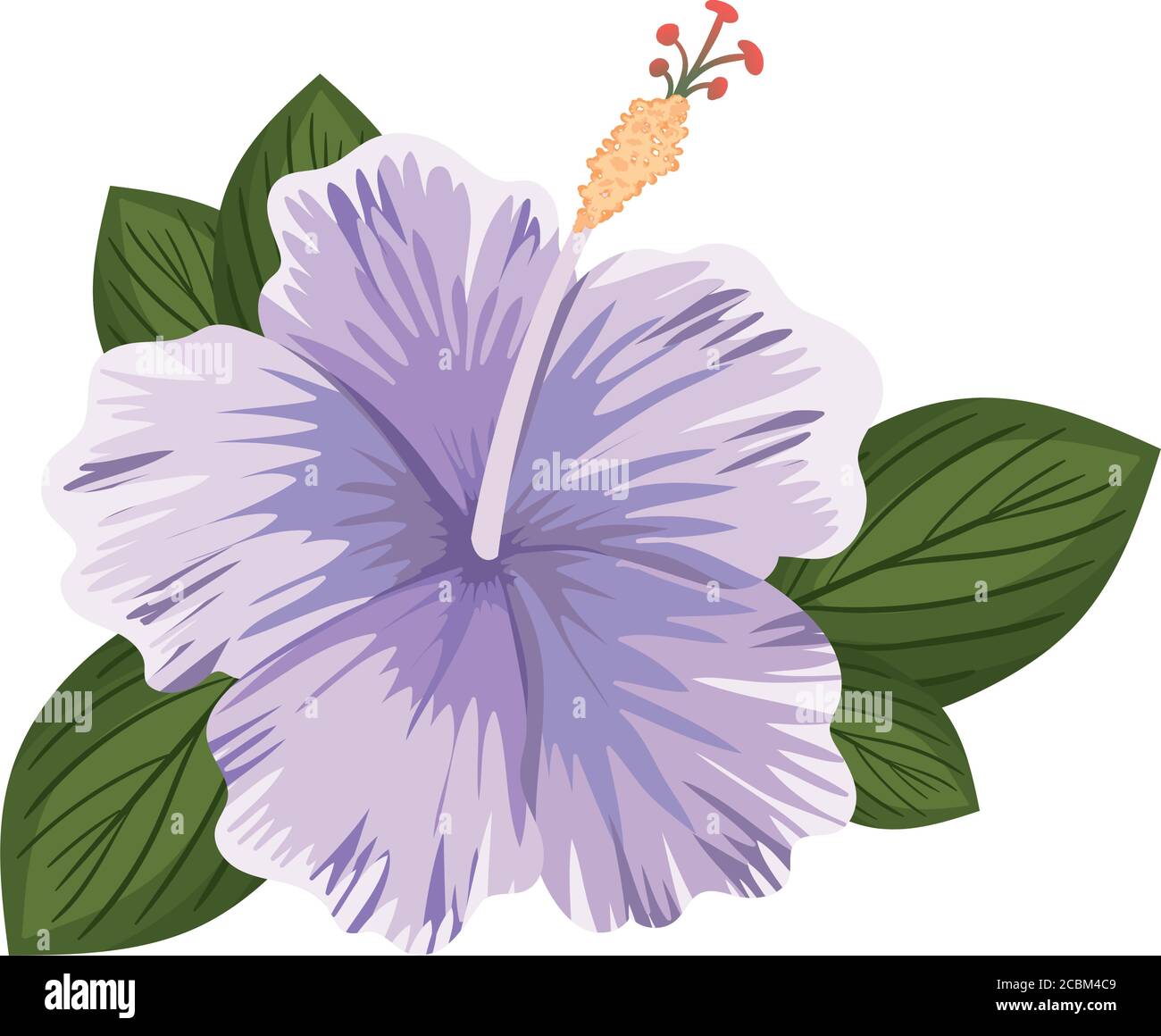 purple hawaiian flowers background