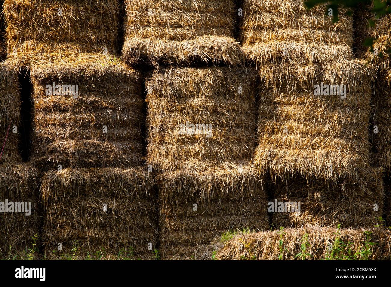 Hay Large bales Round bales are harder to handle than square bales but