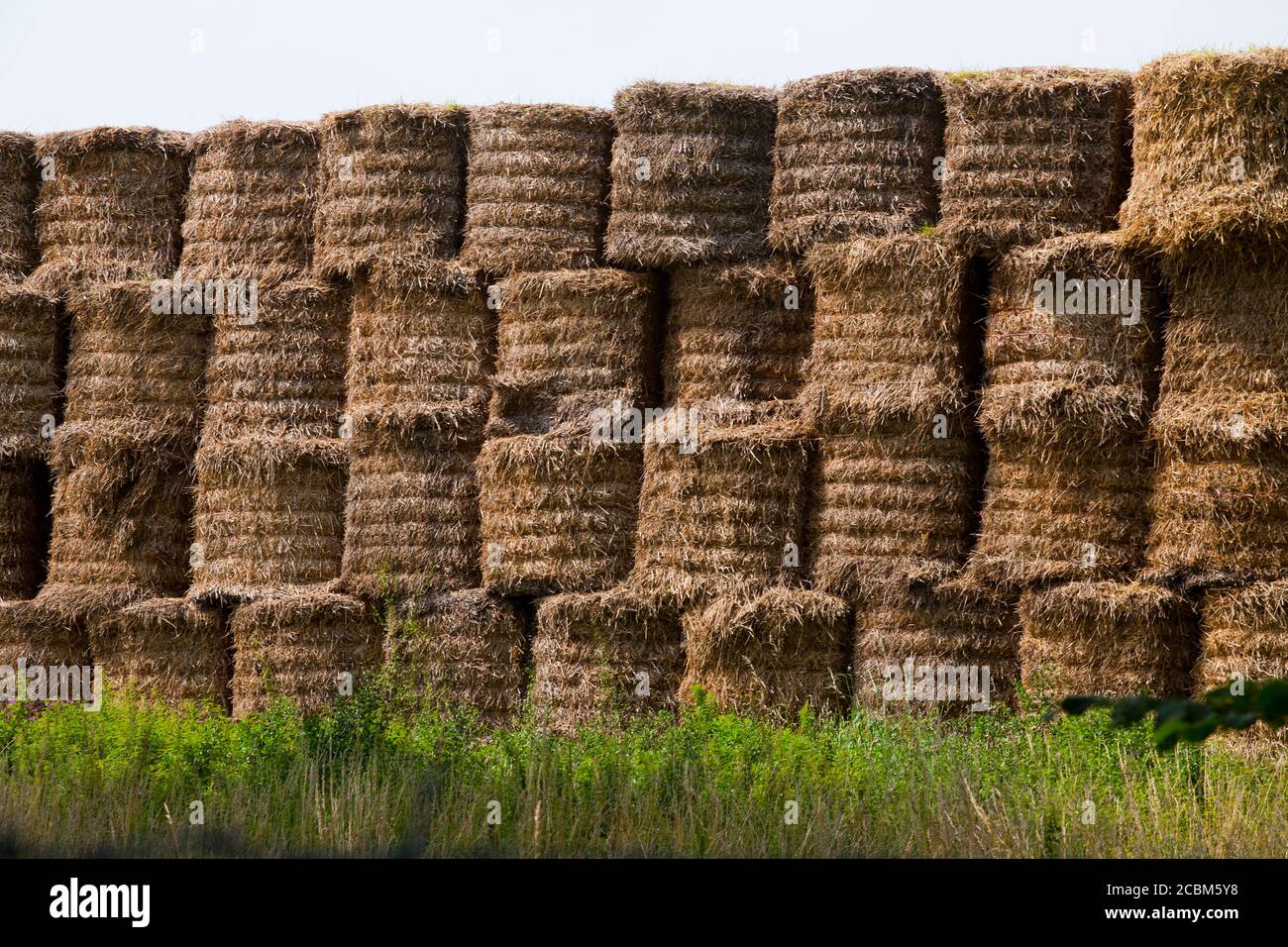 Hay Large bales Round bales are harder to handle than square bales but