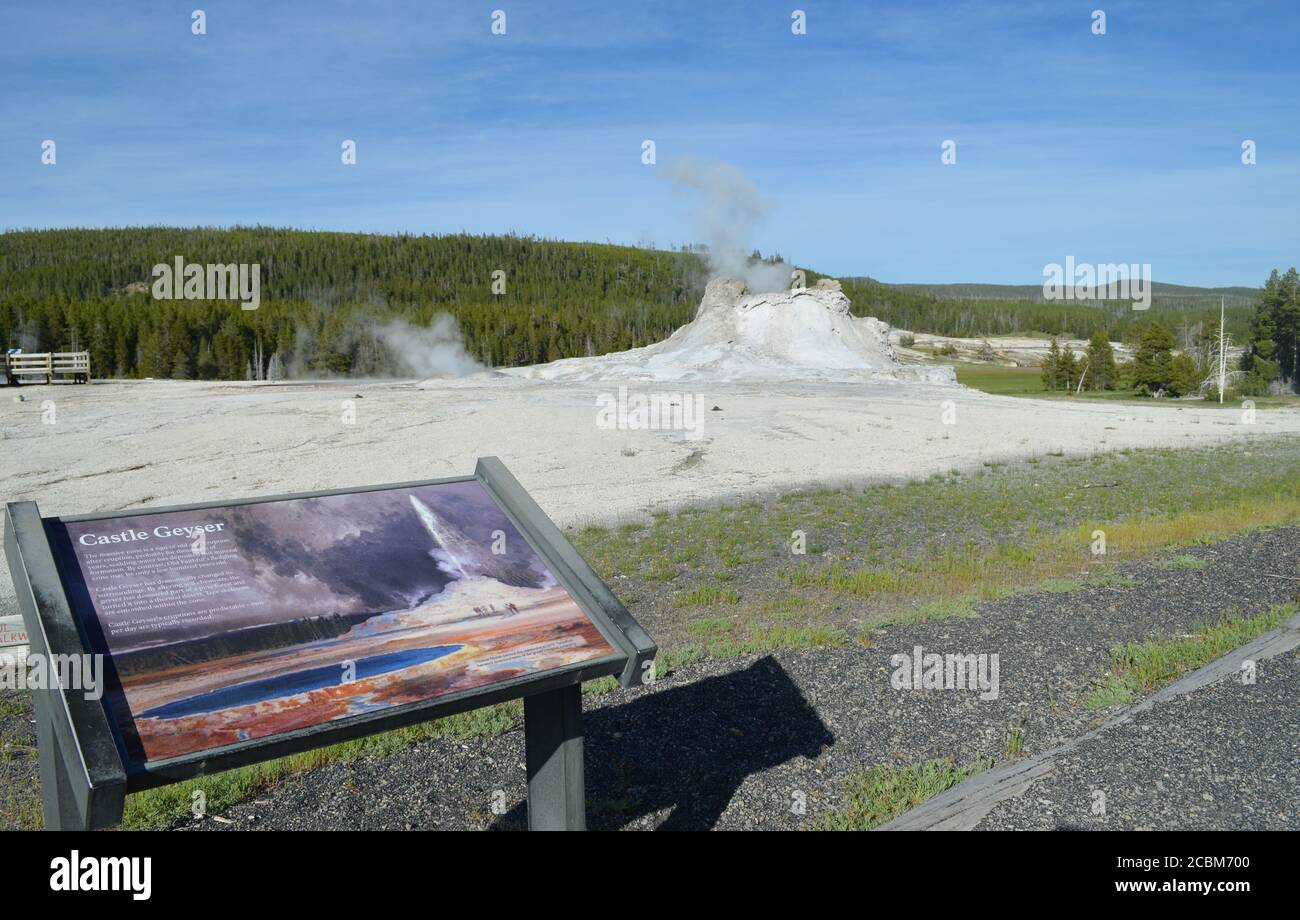 YELLOWSTONE NATIONAL PARK, WYOMING - JUNE 8, 2017: Tortoise Shell Spring and Castle Geyser of the Castle Group in Upper Geyser Basin Stock Photo