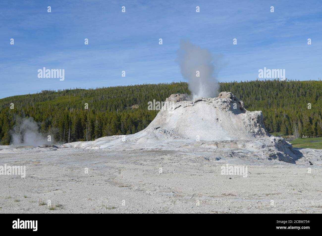 Late Spring in Yellowstone National Park Castle Geyser Erupts as