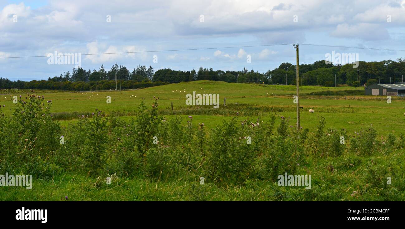 West view, from the Rathcroghan mound, of the ring barrow known as Rathbeg, a likely ancient burial site. Stock Photo