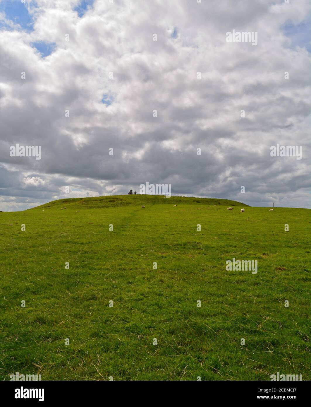 Rathcroghan, Ráth Cruachan, royal and ceremonial site in Connacht. The mound was once crowned with a massive wooden, round structure Stock Photo