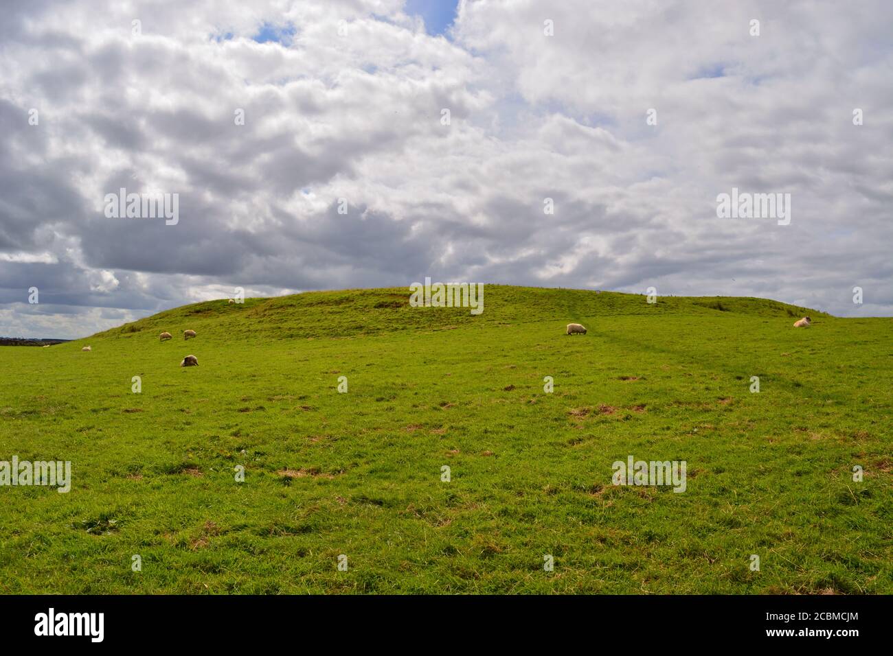Rathcroghan, Ráth Cruachan, royal and ceremonial site in Connacht. The mound was once crowned with a massive wooden, round structure Stock Photo