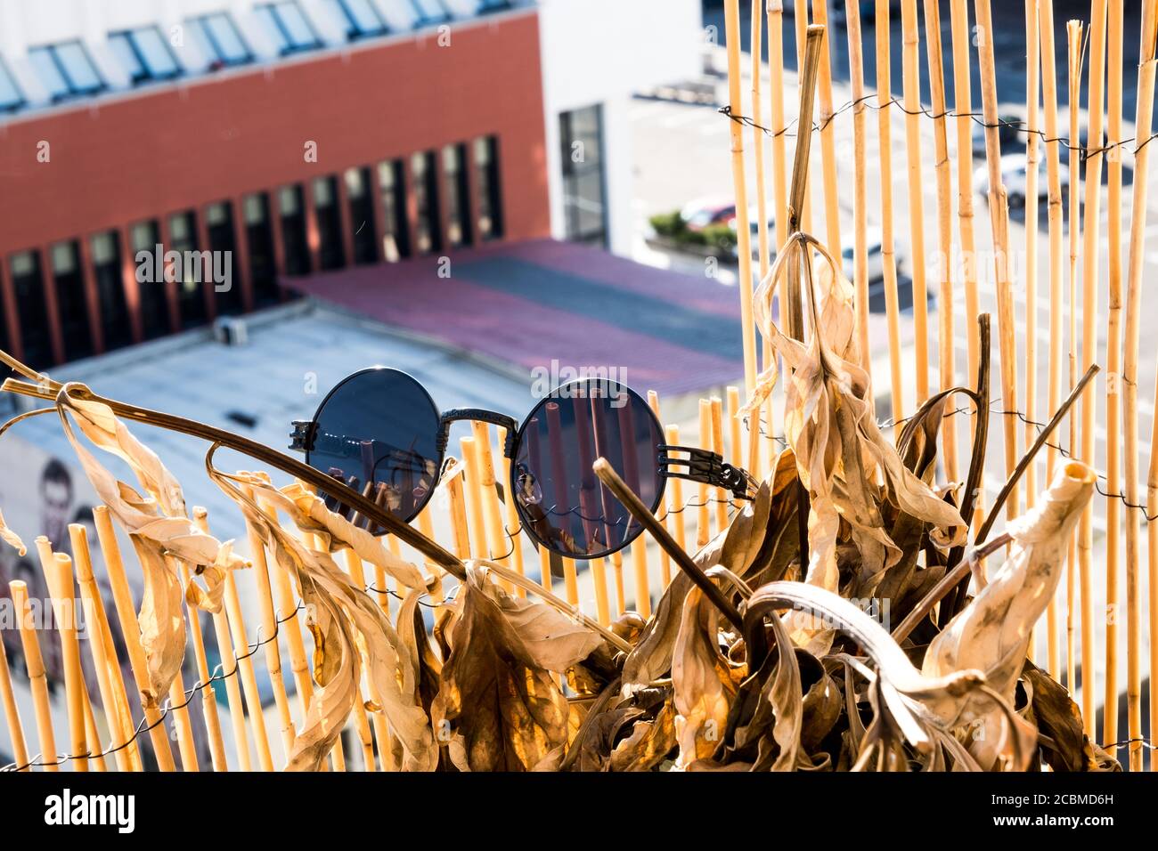 Steampumk sunglasses with black round lens hanging on a bamboo fence. Selective focus Stock Photo