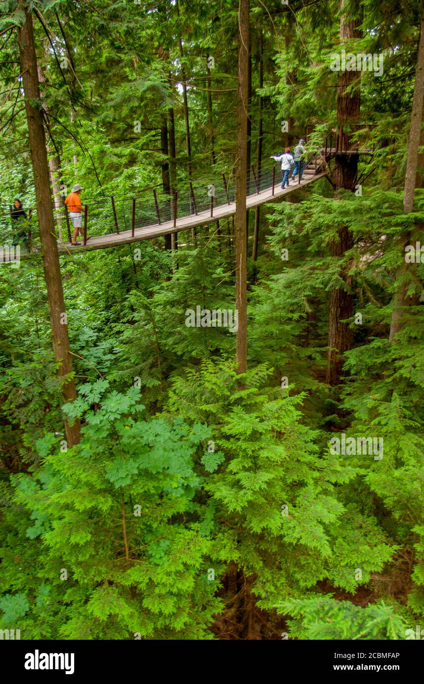 The Treetops Adventure at the Capilano Suspension Bridge in the ...