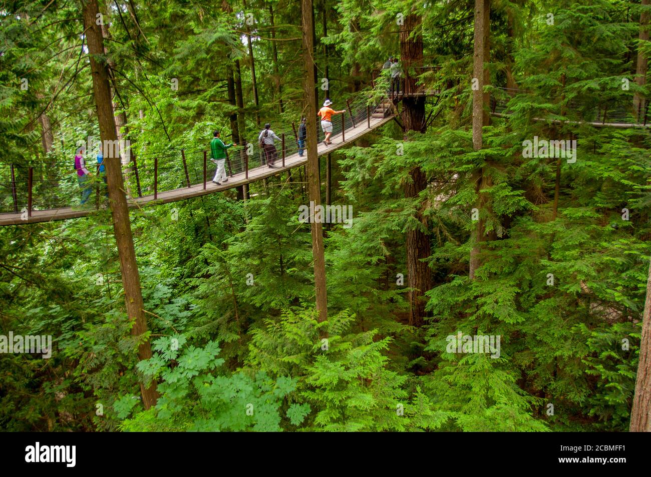 The Treetops Adventure at the Capilano Suspension Bridge in the ...