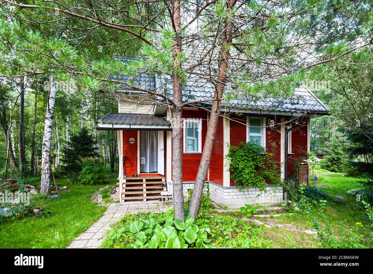 pine tree and wooden summerhouse in Russia in summer Stock Photo - Alamy