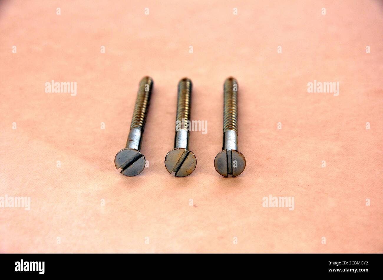 Steel screws used in the most diverse types of construction on white