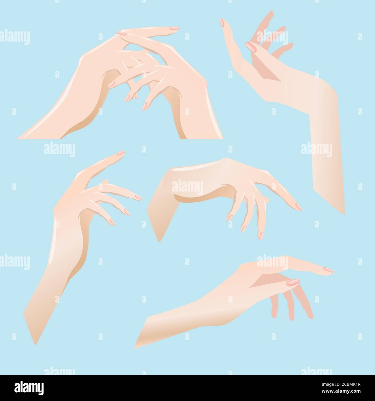 Set of female hands in different angles Stock Vector Image  Art  Alamy