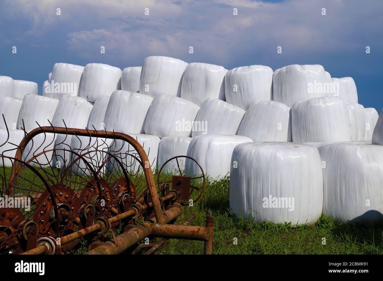 Agriculture. Haylage preparation of animal feed. In the foreground