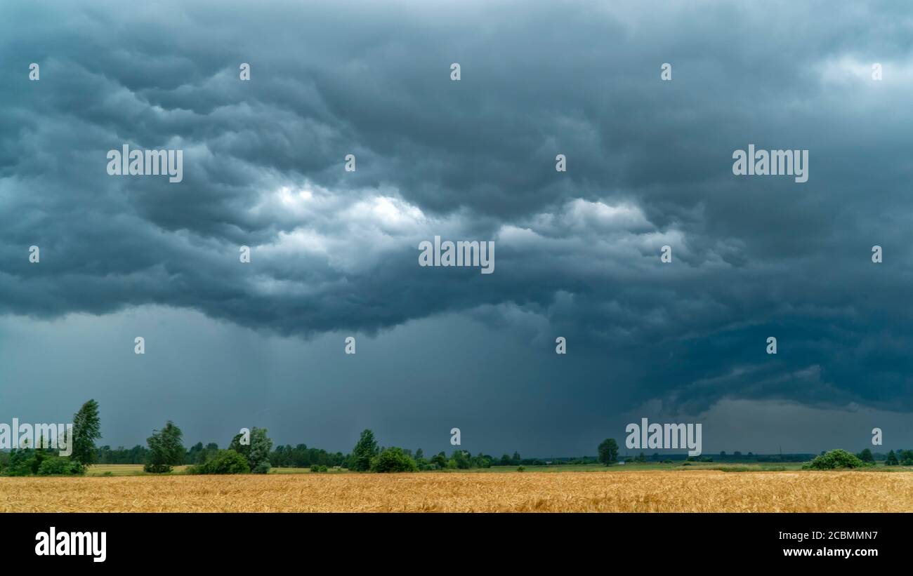 Storm clouds over the wheat field Stock Photo - Alamy