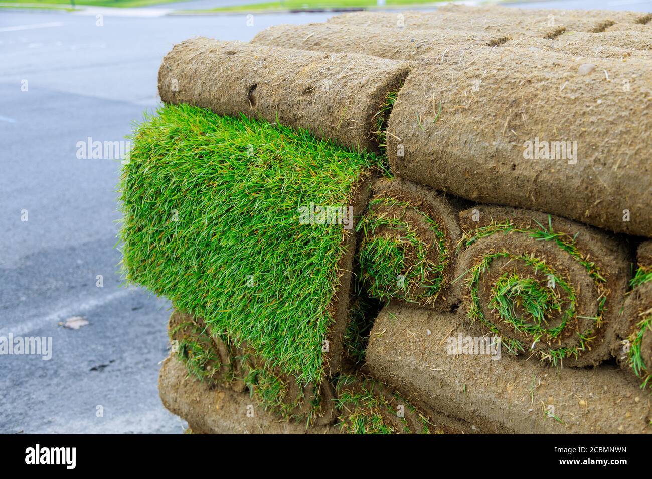Modern lawn planting technologies in landscape design on pallet roll grass close up Stock Photo