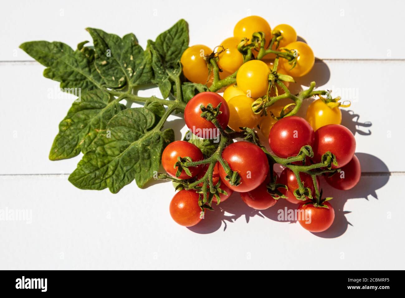 Red and yellow cherry tomatoes Stock Photo Alamy