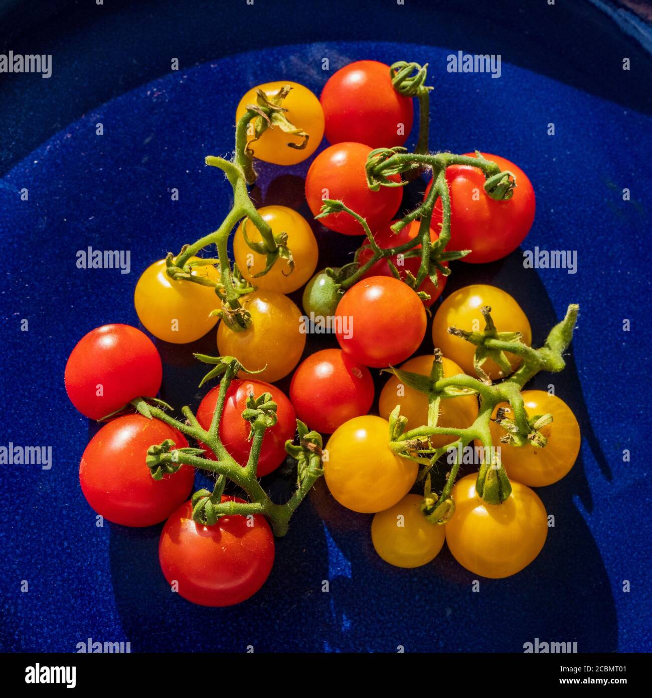 Red and yellow cherry tomatoes Stock Photo - Alamy