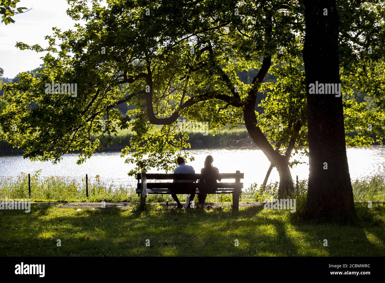 a couple silhouette sitting romantically on a park bench Stock Photo ...