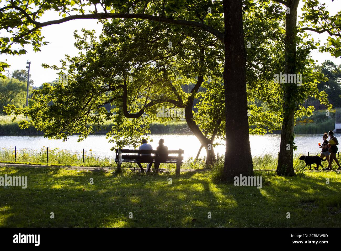 a couple silhouette sitting romantically on a park bench Stock Photo ...