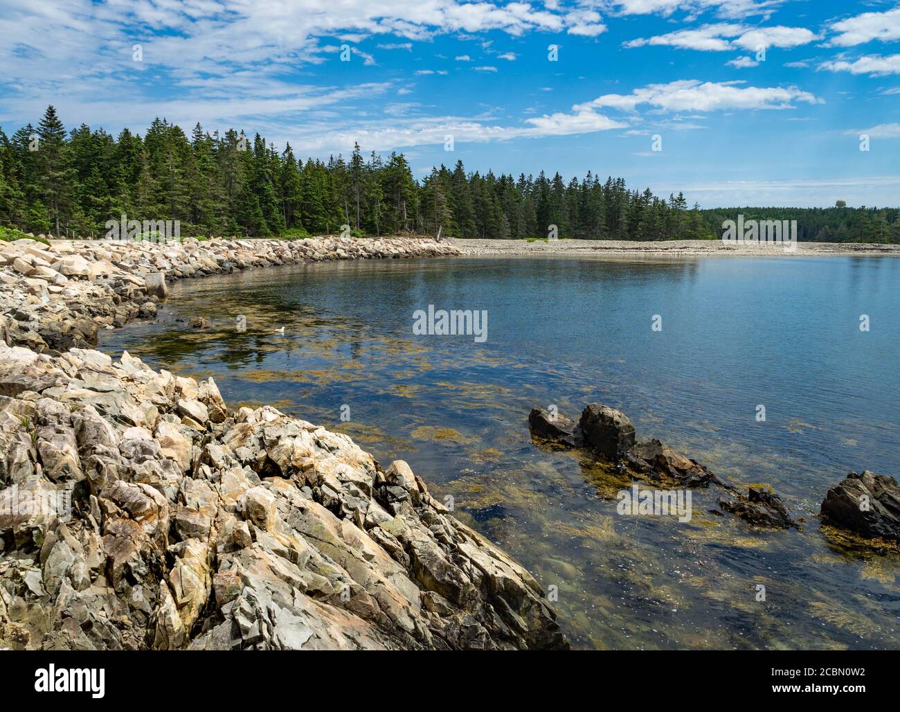 Trees surround a cove in the Schoodic Peninsula in the Acadia National Park in Maine Stock Photo