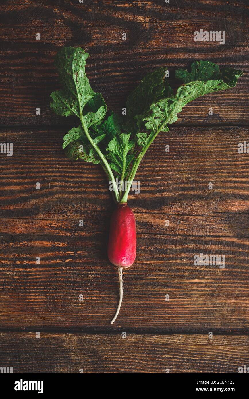 Homegrown red radish Stock Photo