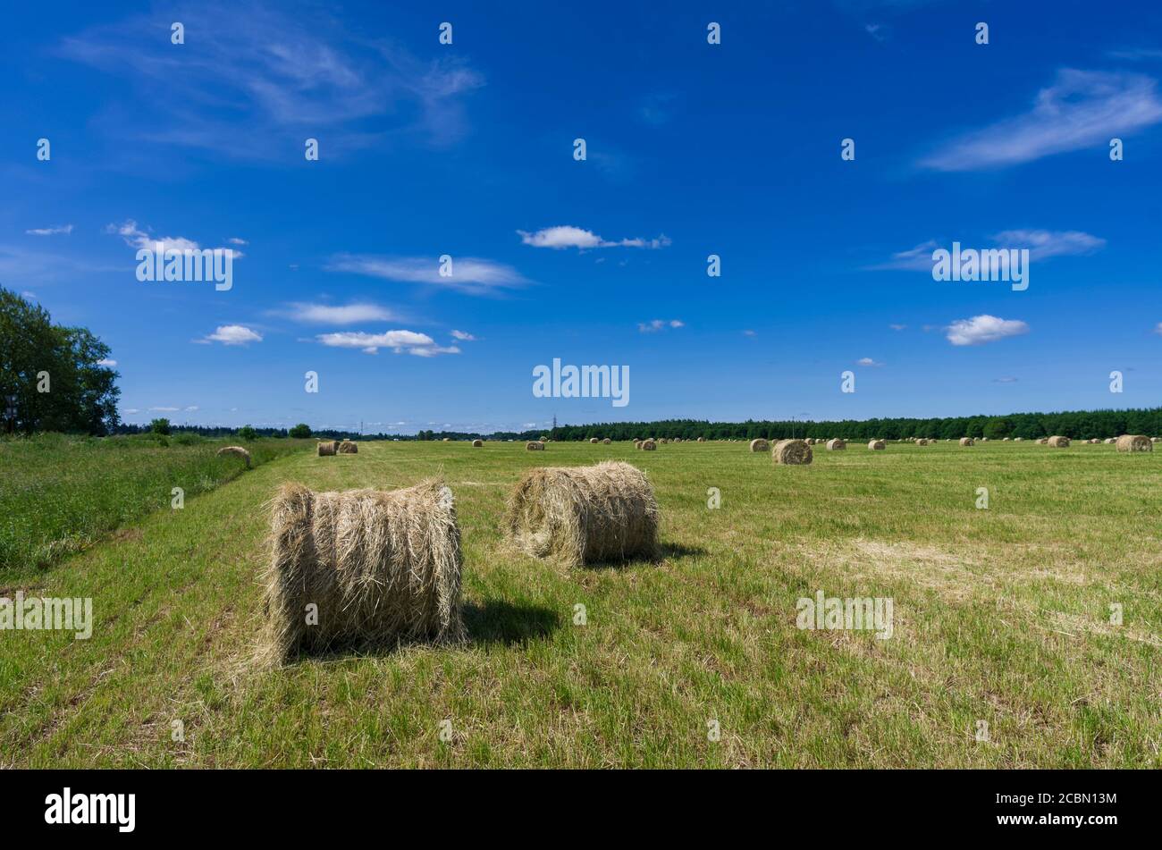 Summer field with hay rolls under a blue sky with clouds Stock Photo ...