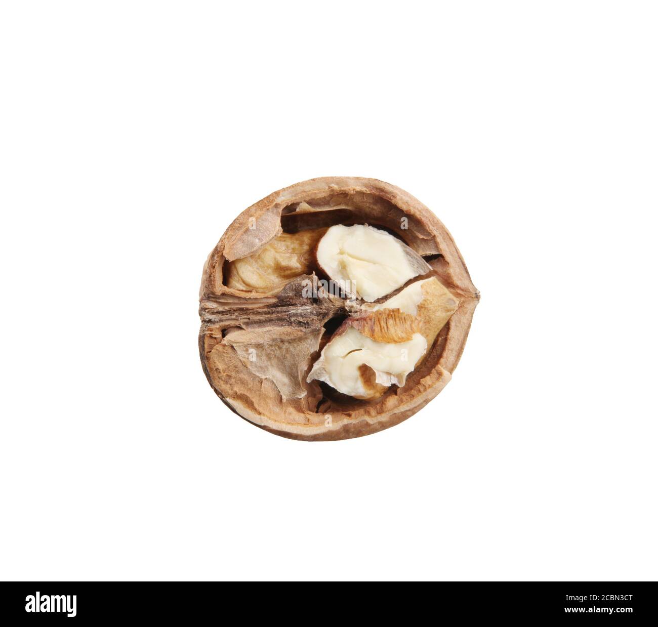 Walnut In Half Walnut half closeup texture hi-res stock photography and images - Alamy