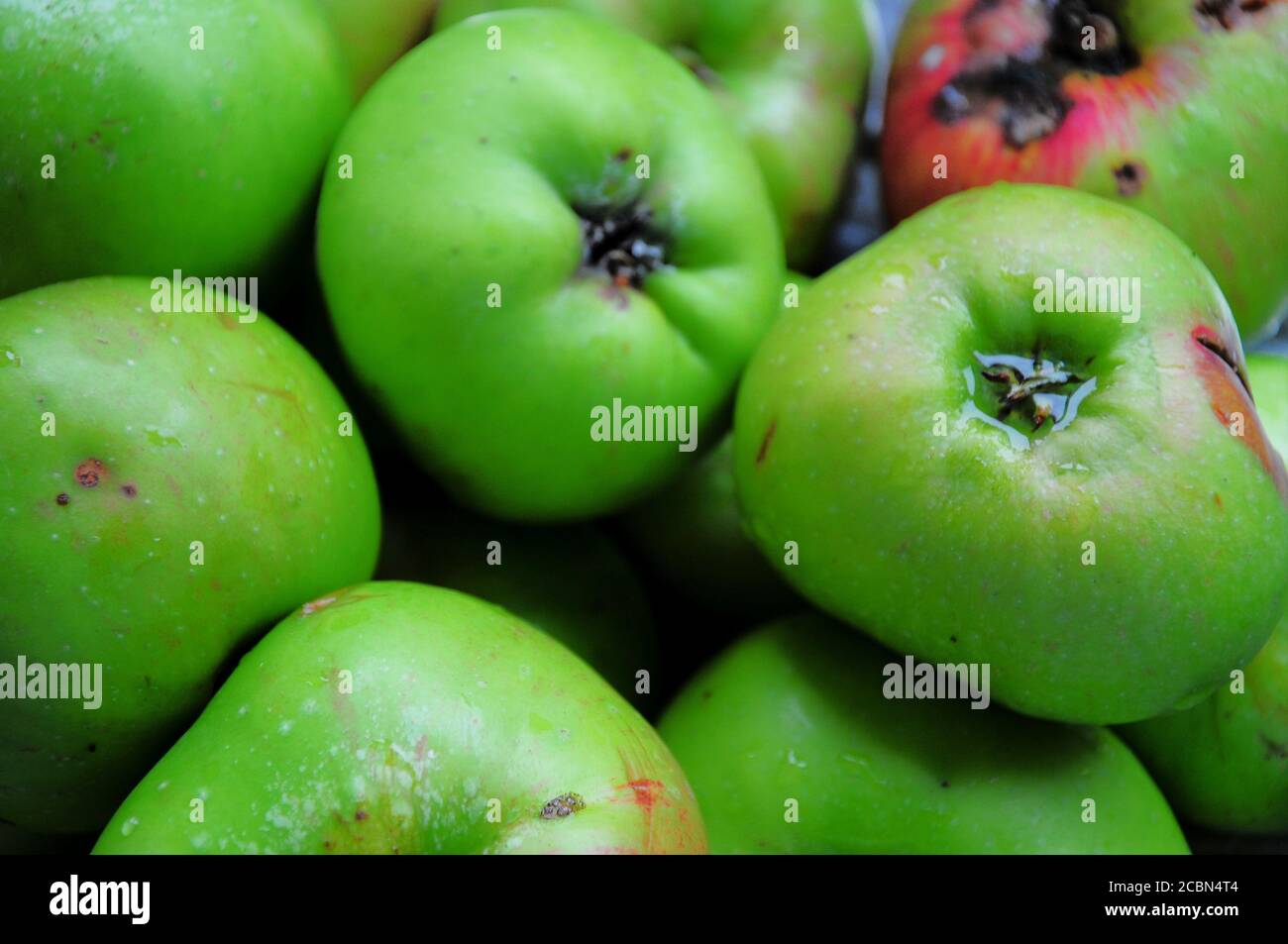 Smiths beach resort hires stock photography and images Alamy