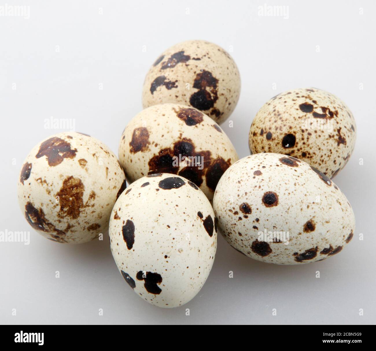 Closeup shot of the quail eggs with brown spots on the white surface