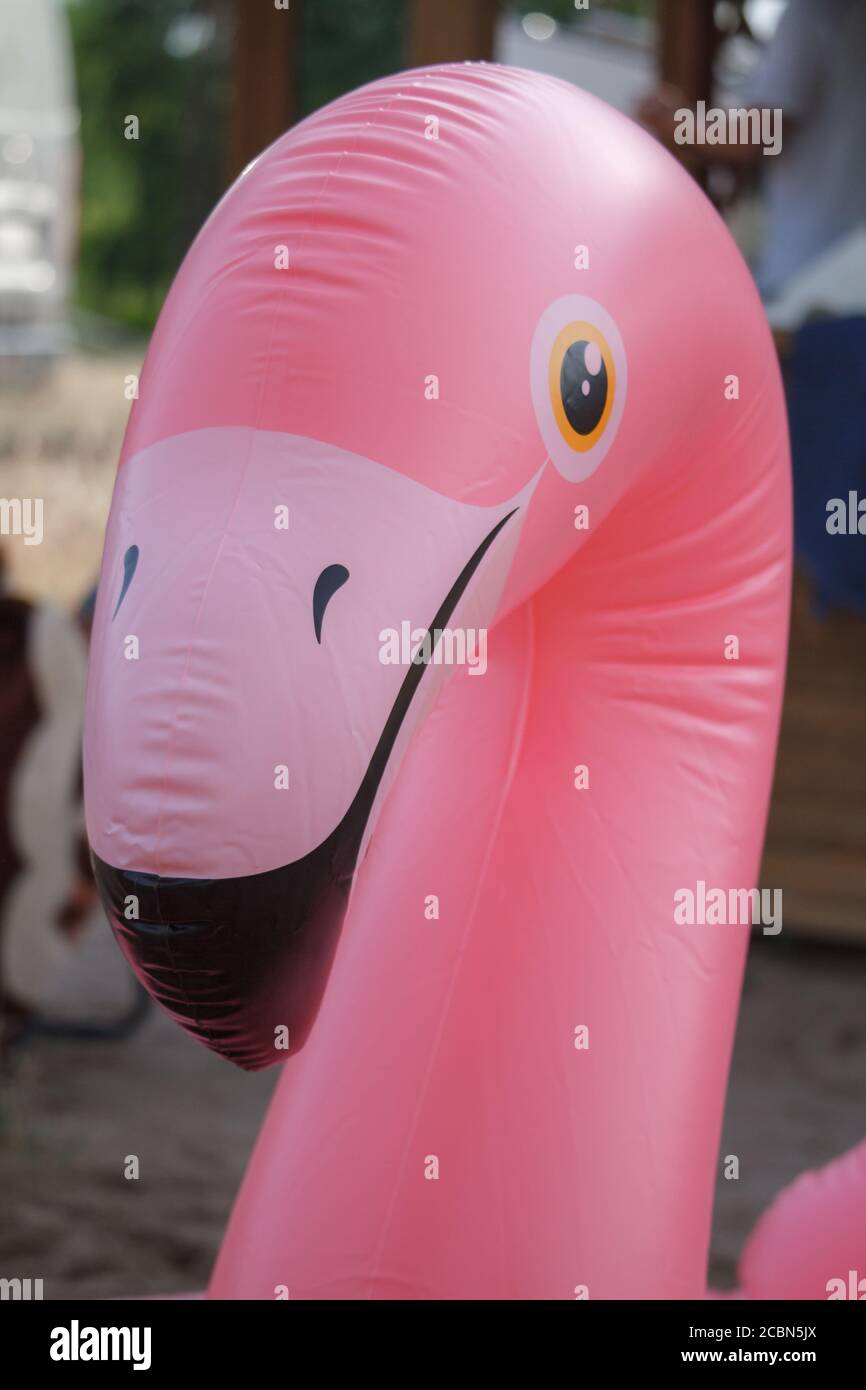 Giant inflatable pink flamingo float toy on sandy beach of river