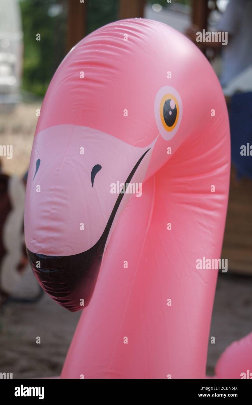 Giant inflatable pink flamingo float toy on sandy beach of river, summer vacation concept Stock Photo